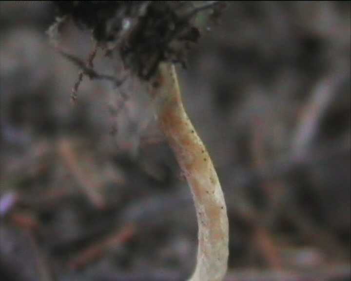 Winkel ( FRA ) 28.08.2004   2 Serie